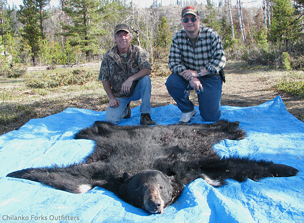 Pat Vaughn, black bear, 2008