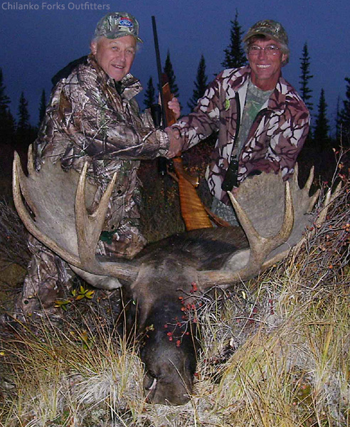Jesse Daves, moose, 2008 