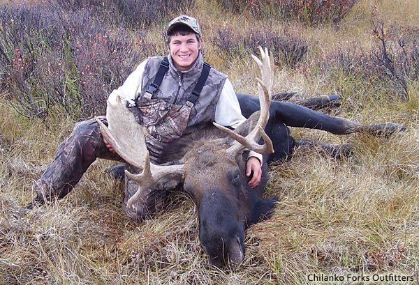 Joe Marzetta, moose, 2008