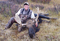 Joe Marzetta, moose, 2008