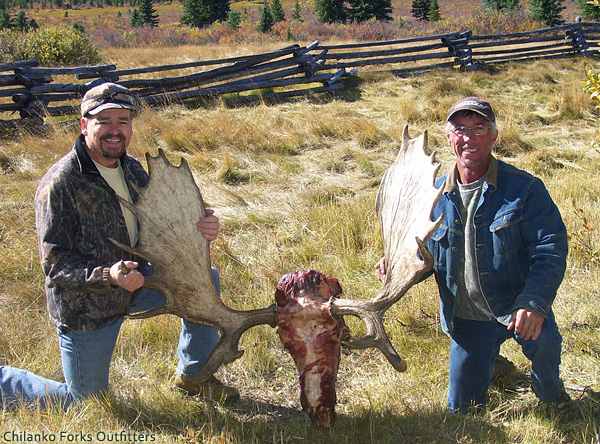Ken Hines, moose, 2009