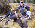 Ivan Schuening, moose, 2009
