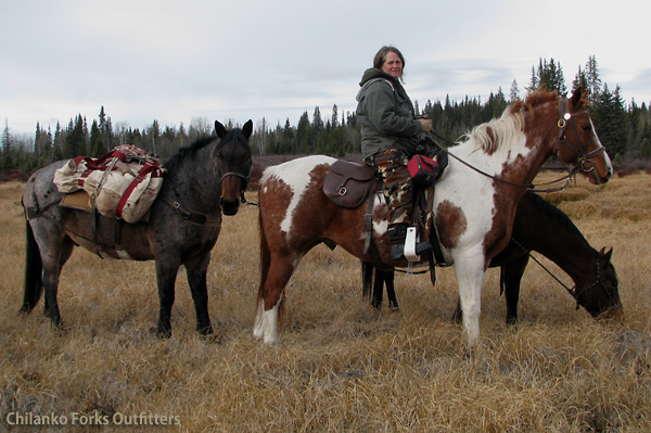 Pat Vaughn, moose, 2010