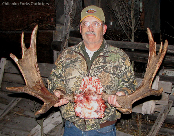 Pat Vaughn, moose, 2010