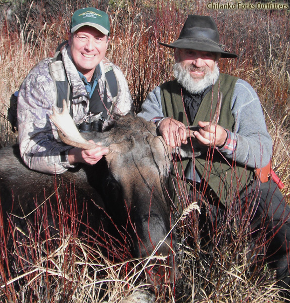 Pat Vaughn, moose, 2010