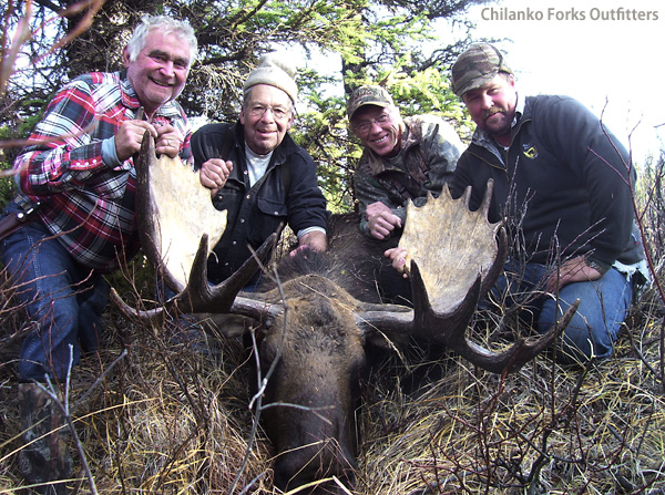 Pat Vaughn, moose, 2010