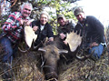 Thor Black, moose 2010, with Jesse, Frank and Allan 
