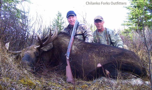 Pat Vaughn, moose, 2010