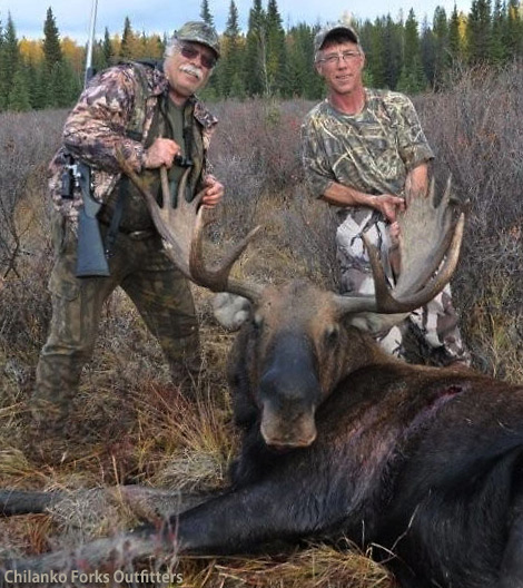 Pat Vaughn, moose, 2010