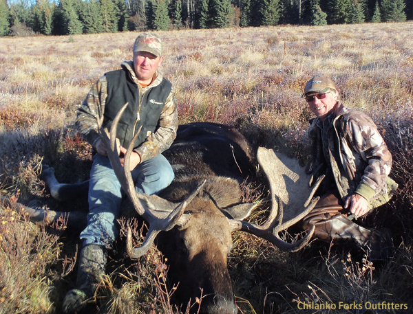 Andy Fleming - moose, 2010