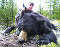 Mark Laughman - black bear, 2011