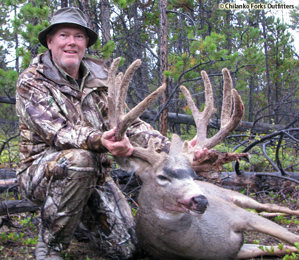Barwick, Mule Deer in velvet, 2011