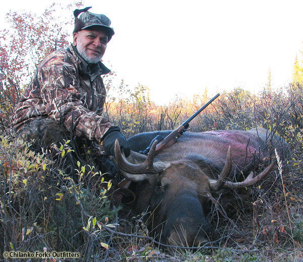 Nizam moose 2011
