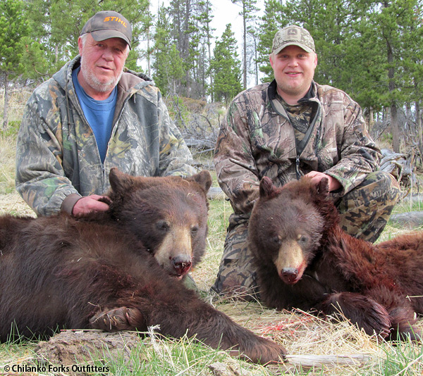 Lehmans' black bears, 2012
