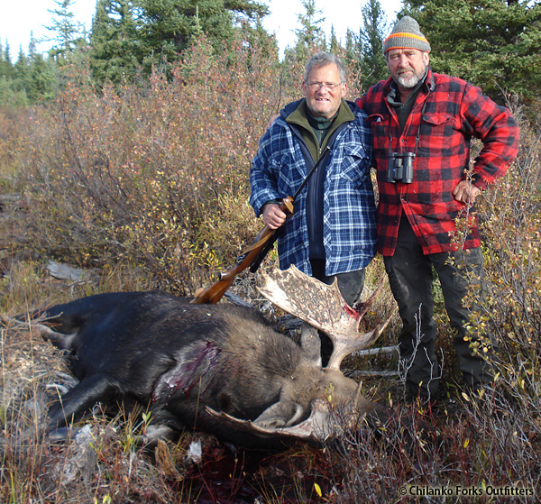Walter Gisler, moose, 2012