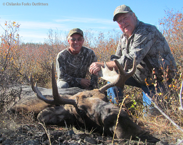 Ivan Schuening, moose, 2012