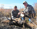 Ivan Schuening, moose, 2012