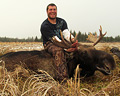 Joe Marzetta, moose, 2012