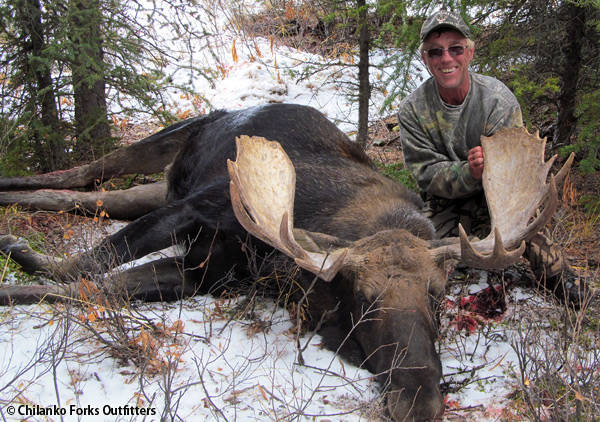 Joe Marzetta, moose, 2012
