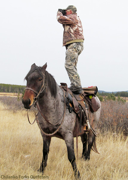 Pat Vaughn, moose, 2010