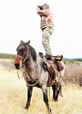 Allen and Rocko glassing, 2012