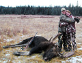 Allison Tew, first moose, 2012