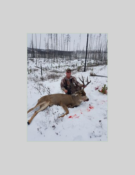 Al Buck, 2020