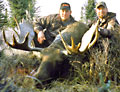 Tony Kyle, moose, 2005
