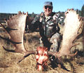 Moose rack