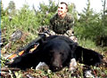 Kenny Hutchinson - Black Bear