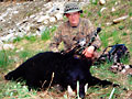 Tom Christian - black bear
