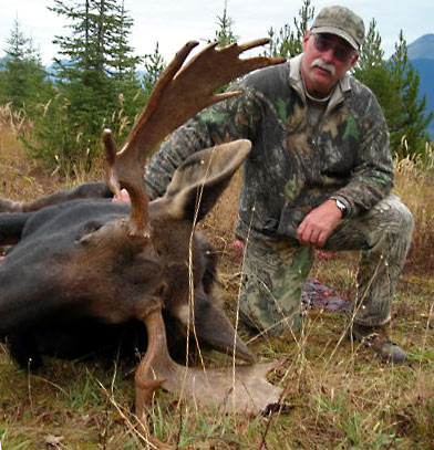  Bob - moose