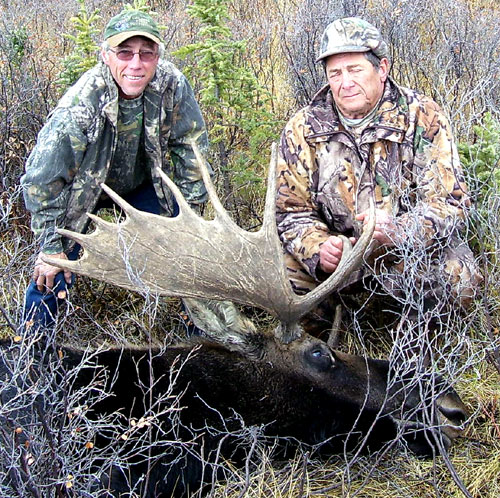 Allen Marzetta - moose