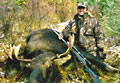 &nbsp;Ryan Young - moose, 2007
