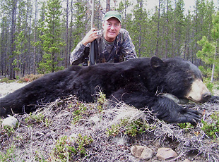 Black bear